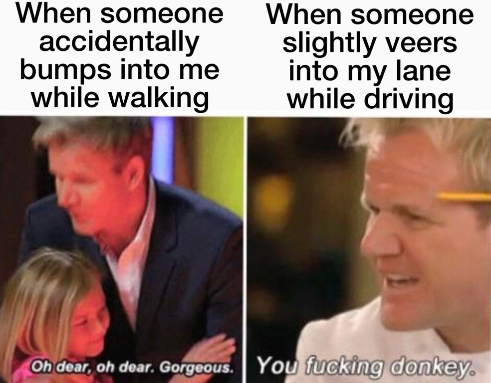 dank memes not clean - When someone accidentally bumps into me while walking When someone slightly veers into my lane while driving Oh dear, oh dear. Gorgeous . You fucking donkey