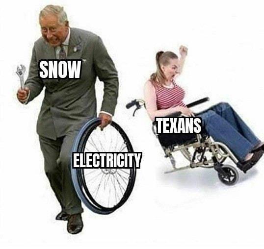vegans grass cows meme - Snow Texans Electricity