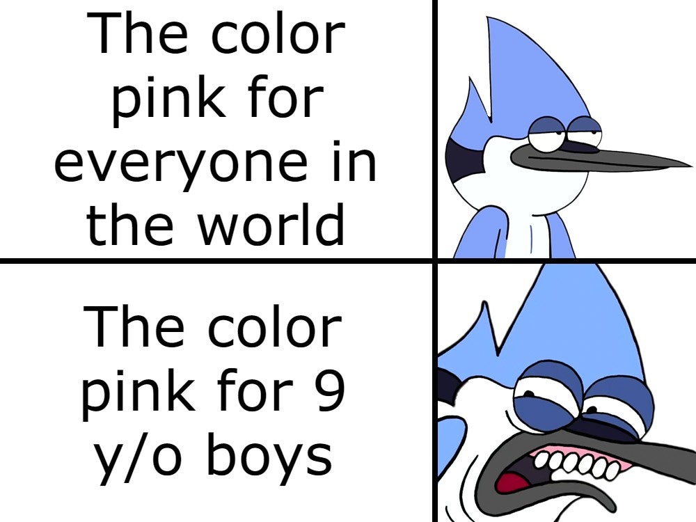 disgusted mordecai meme template - The color pink for everyone in the world The color pink for 9 yo boys