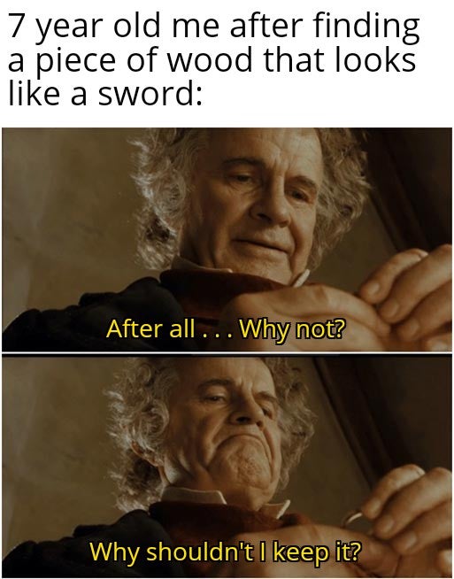 funny memes - 7 year old me after finding a piece of wood that looks a sword After all ... Why not? Why shouldn't I keep it?