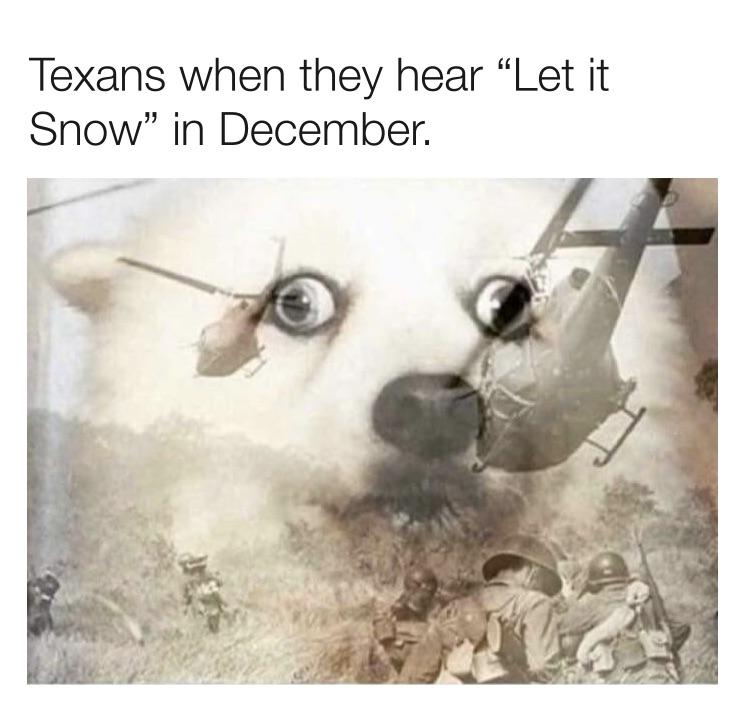 your dog hears the doorbell - Texans when they hear "Let it Snow" in December.