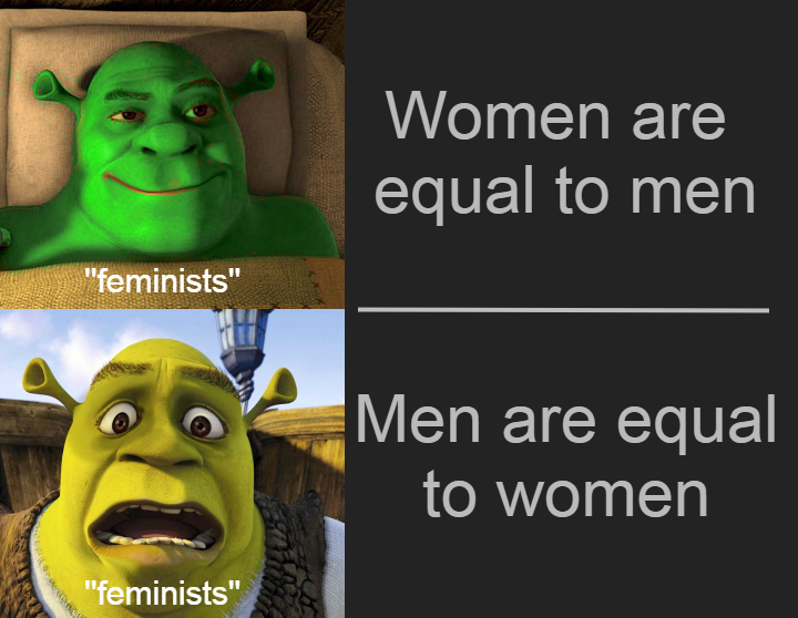 photo caption - Women are equal to men "feminists" Men are equal to women "feminists"