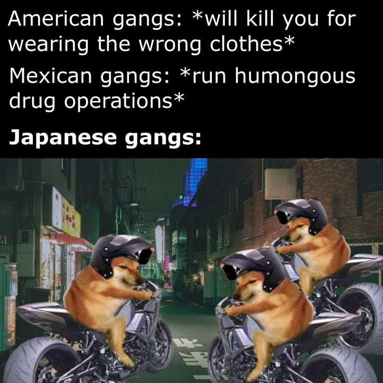 photo caption - American gangs will kill you for wearing the wrong clothes Mexican gangs run humongous drug operations Japanese gangs