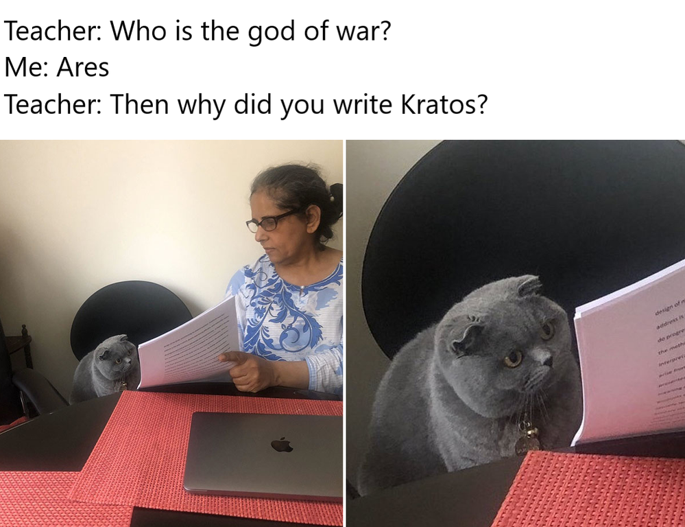 woman showing papers to grey cat - Teacher Who is the god of war? Me Ares Teacher Then why did you write Kratos?