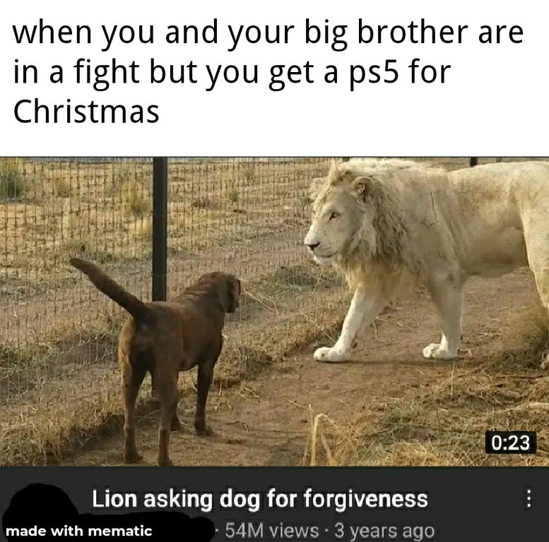 when you and your big brother are in a fight but you get a ps5 for Christmas Lion asking dog for forgiveness 54M views 3 years ago made with mematic
