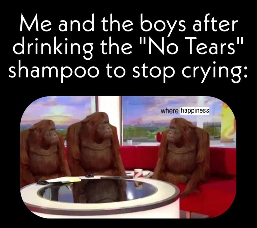 banana meme - Me and the boys after drinking the "No Tears" shampoo to stop crying where happiness