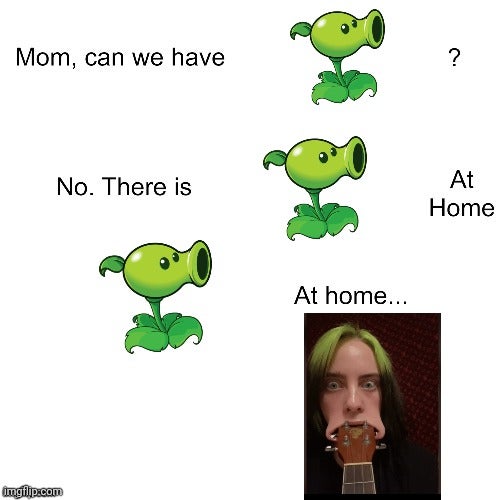 funny memes - Mom, can we have ? No. There is At Home At home...