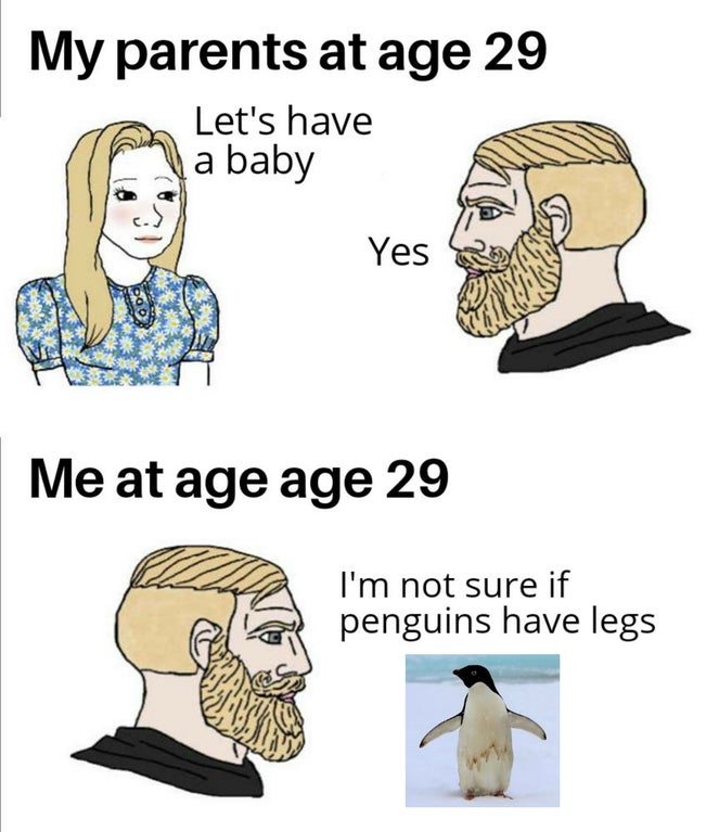 funny memes - My parents at age 29 Let's have a baby Yes Me at age age 29 I'm not sure if penguins have legs