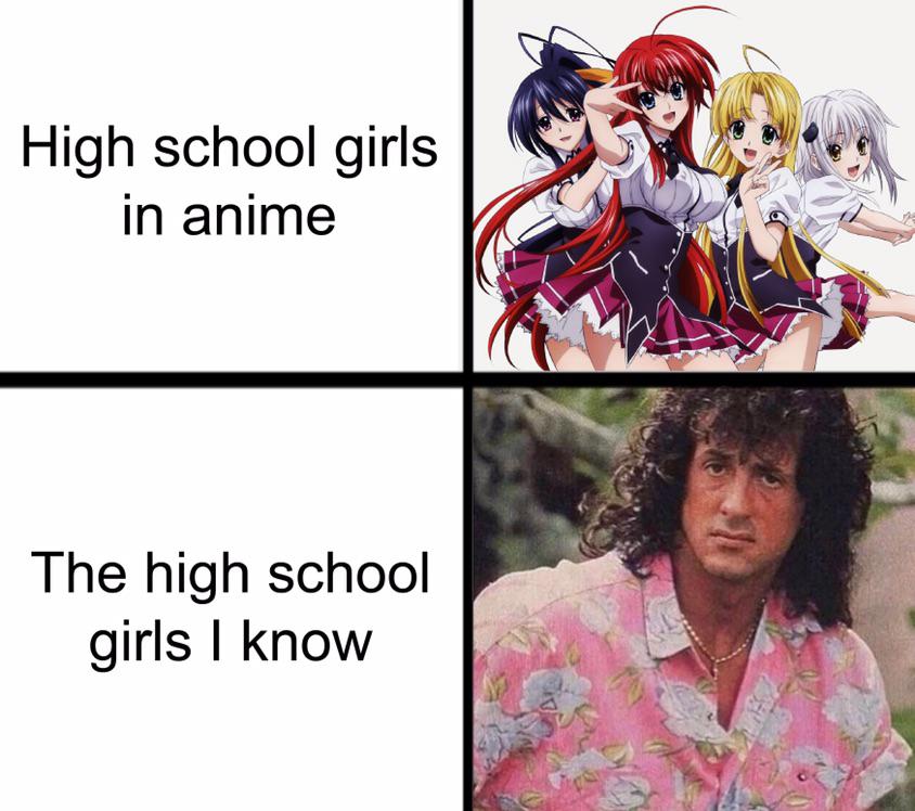 funny memes - High school girls in anime The high school girls I know