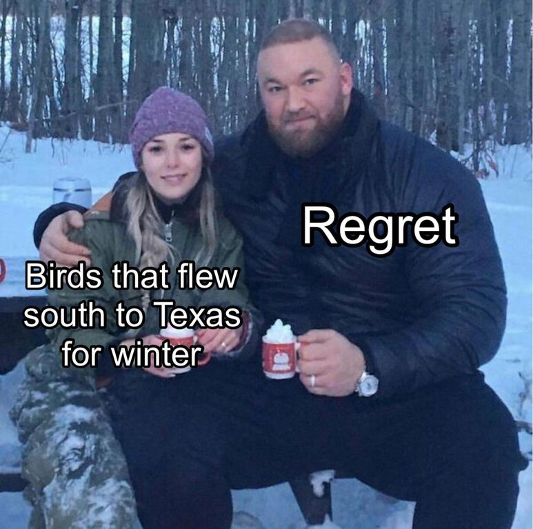 funny memes - mountain mug game of thrones - Regret Birds that flew south to Texas for winter