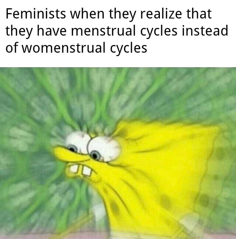 you inhale too much brake cleaner meme - Feminists when they realize that they have menstrual cycles instead of womenstrual cycles