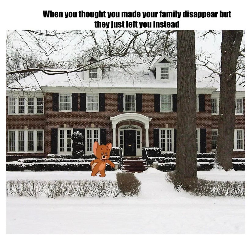 home alone snow - When you thought you made your family disappear but they just left you instead Llll i i