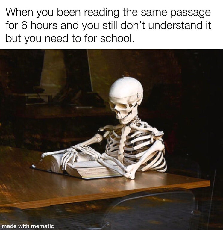 skeleton reading a book - When you been reading the same passage for 6 hours and you still don't understand it but you need to for school. made with mematic