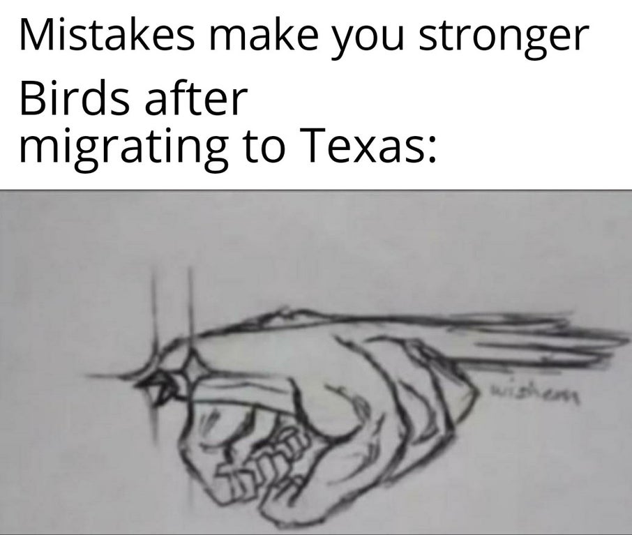 funny cursed drawing - Mistakes make you stronger Birds after migrating to Texas