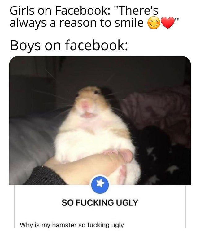 photo caption - Girls on Facebook "There's always a reason to smile Boys on facebook So Fucking Ugly Why is my hamster so fucking ugly