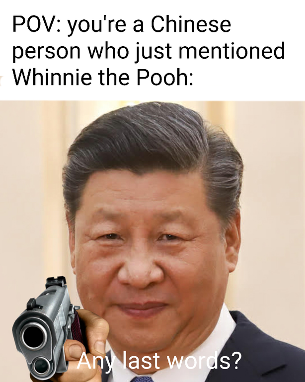 Pov you're a Chinese person who just mentioned Whinnie the Pooh Any last words?