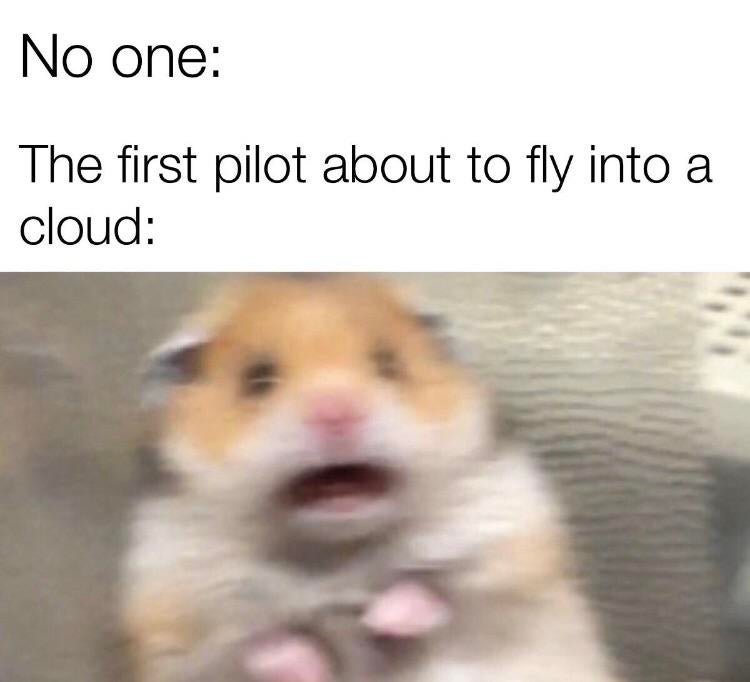 funny memes clean - No one The first pilot about to fly into a cloud