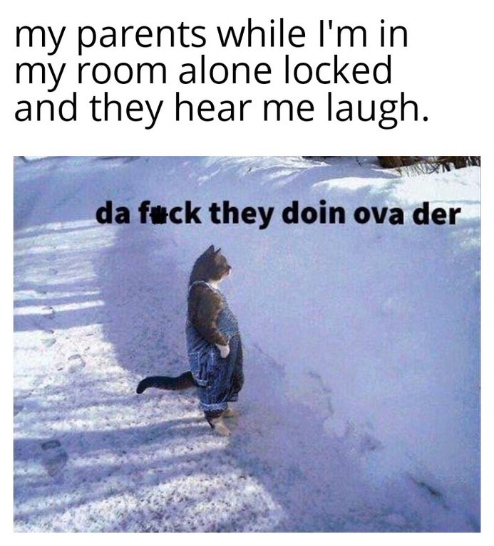 cat in overalls meme - my parents while I'm in my room alone locked and they hear me laugh. da fuck they doin ova der