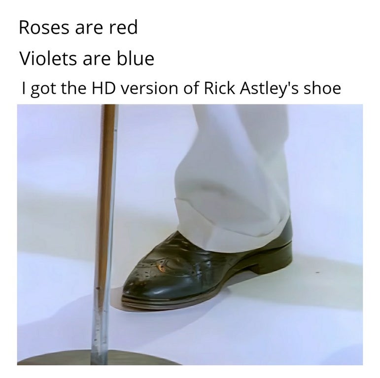 outdoor shoe - Roses are red Violets are blue I got the Hd version of Rick Astley's shoe