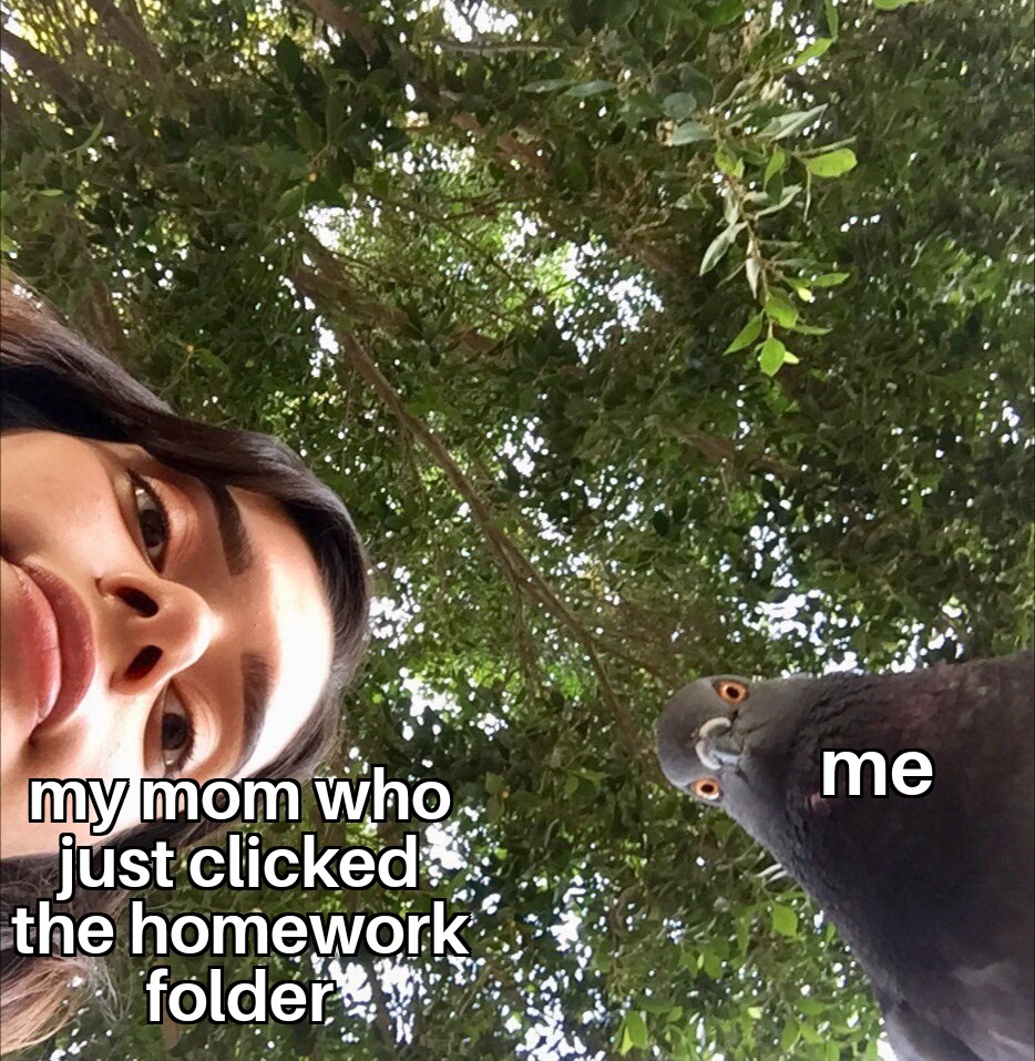 me my mom who just clicked. the homework folder