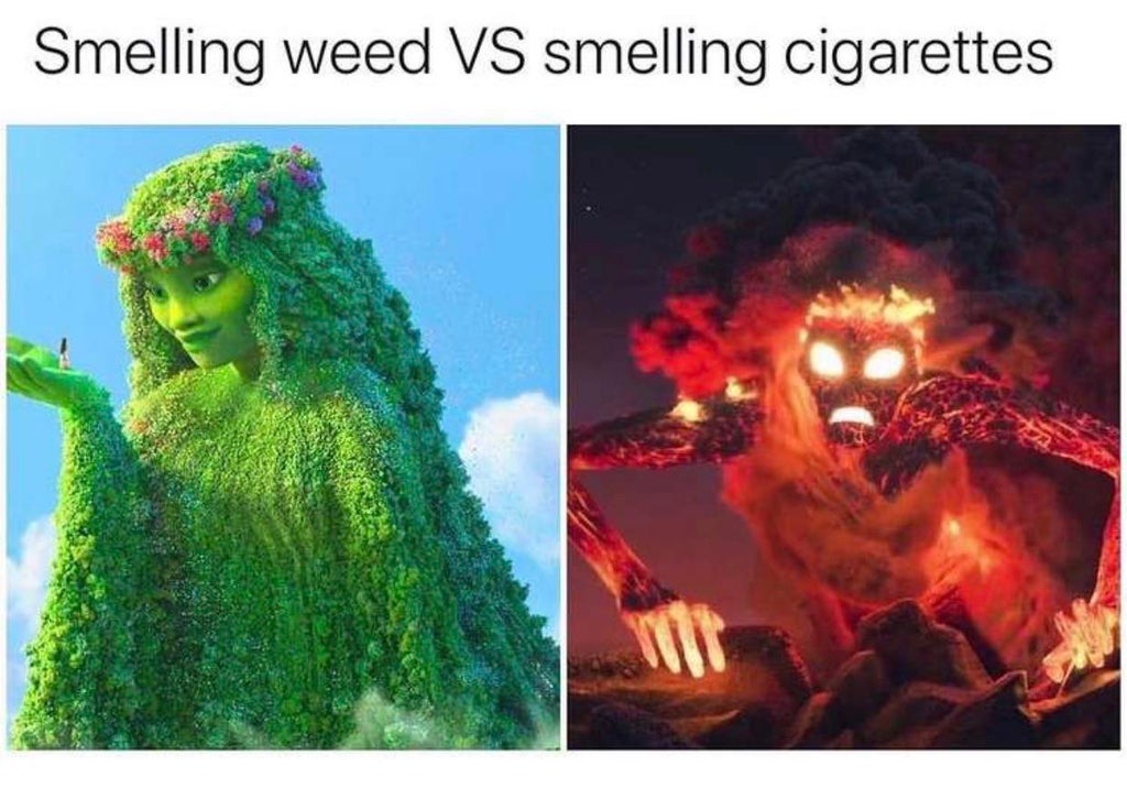 smelling cigarettes vs smelling weed - Smelling weed Vs smelling cigarettes