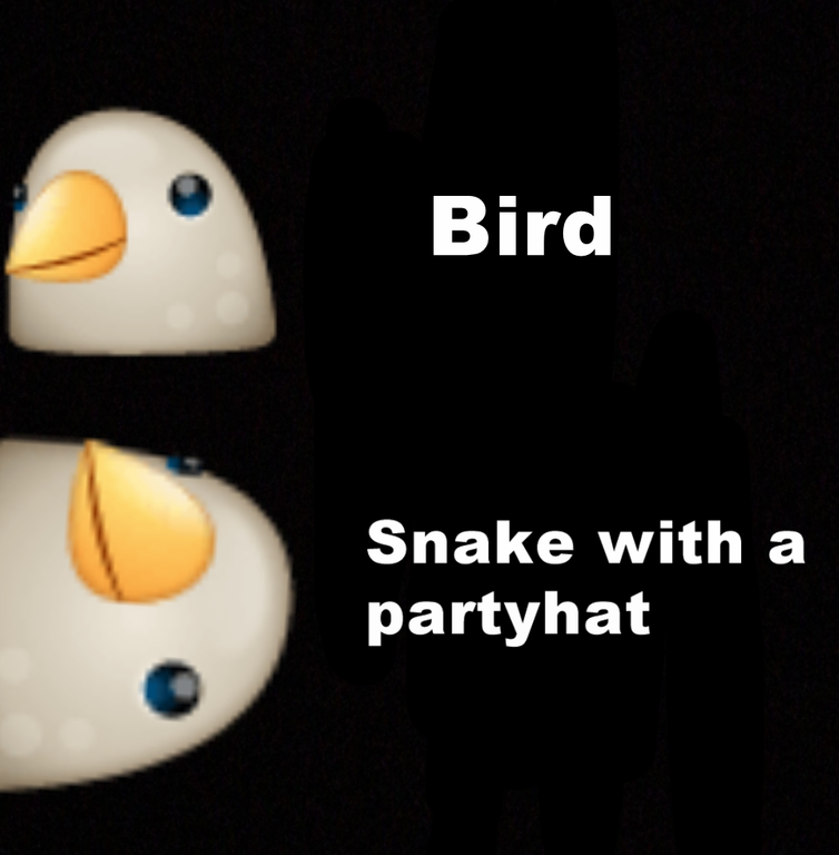 photo caption - Bird Snake with a partyhat