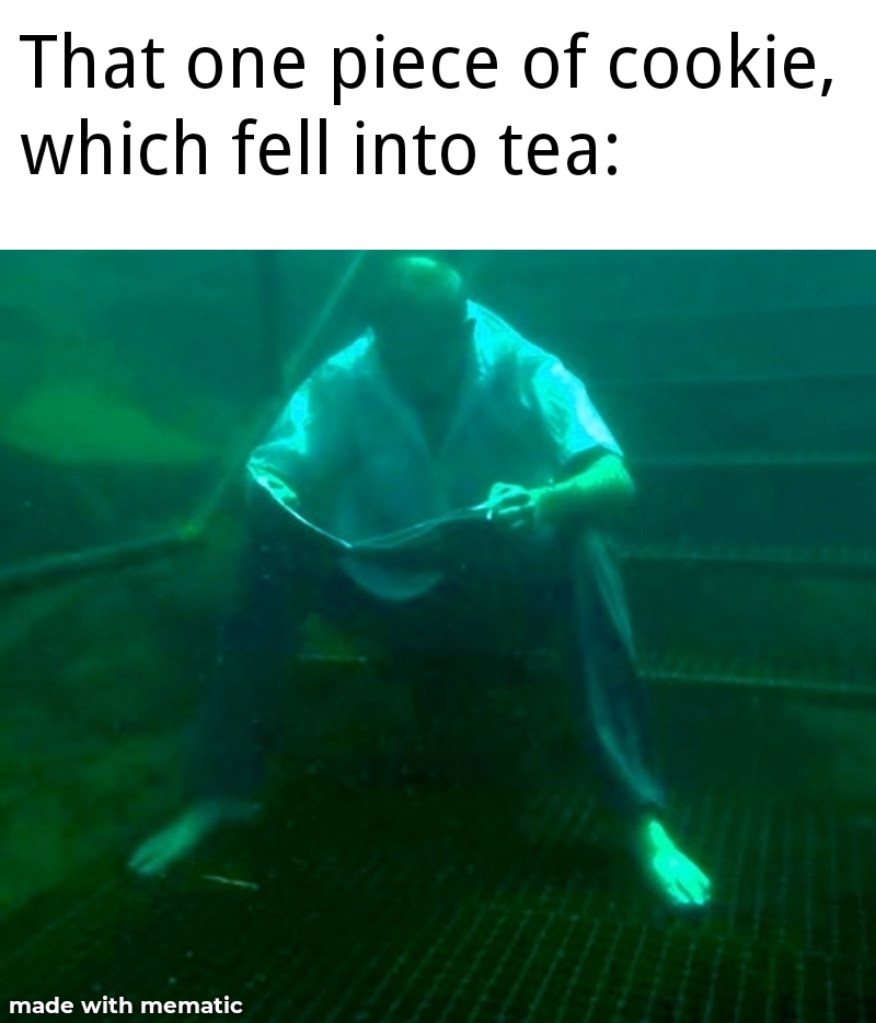funny memes - underwater - That one piece of cookie, which fell into tea