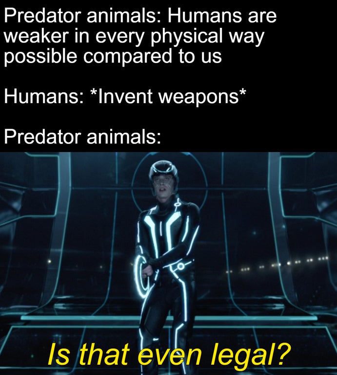 funny memes - Predator animals Humans are weaker in every physical way possible compared to us Humans Invent weapons animals Is that even legal?