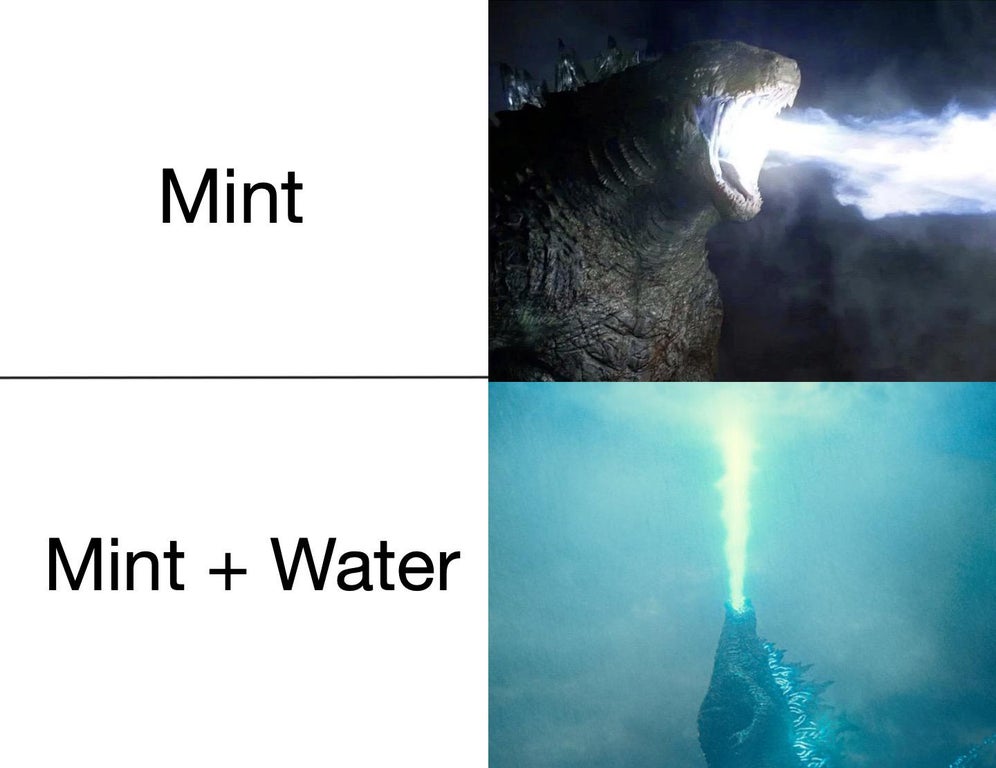 funny memes - Mint Mint + Water godzilla laser beam mouth