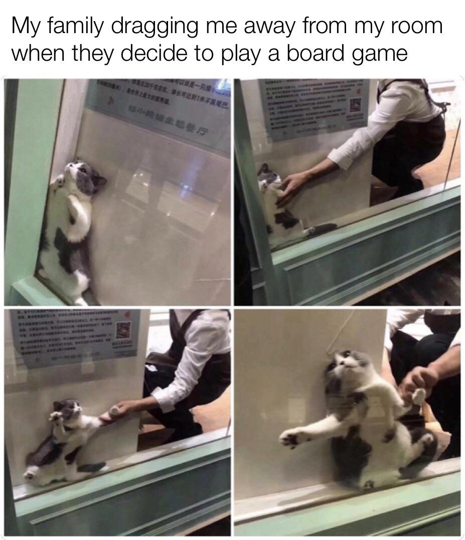 cat stuck in window meme - My family dragging me away from my room when they decide to play a board game