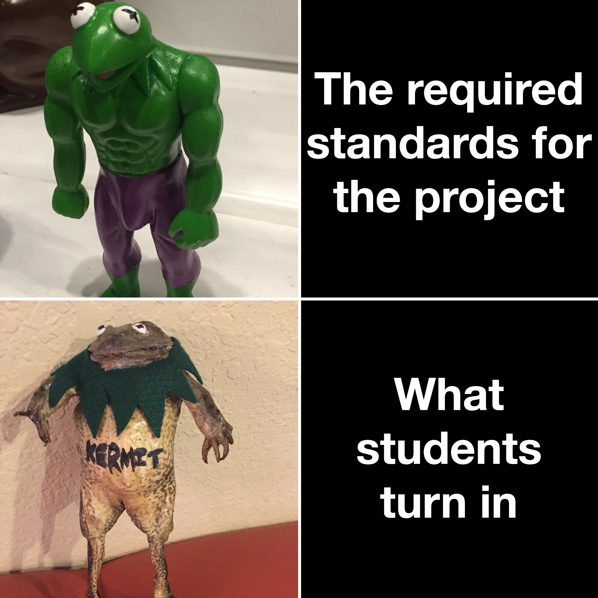 cursed images kermit - The required standards for the project Kermet What students turn in