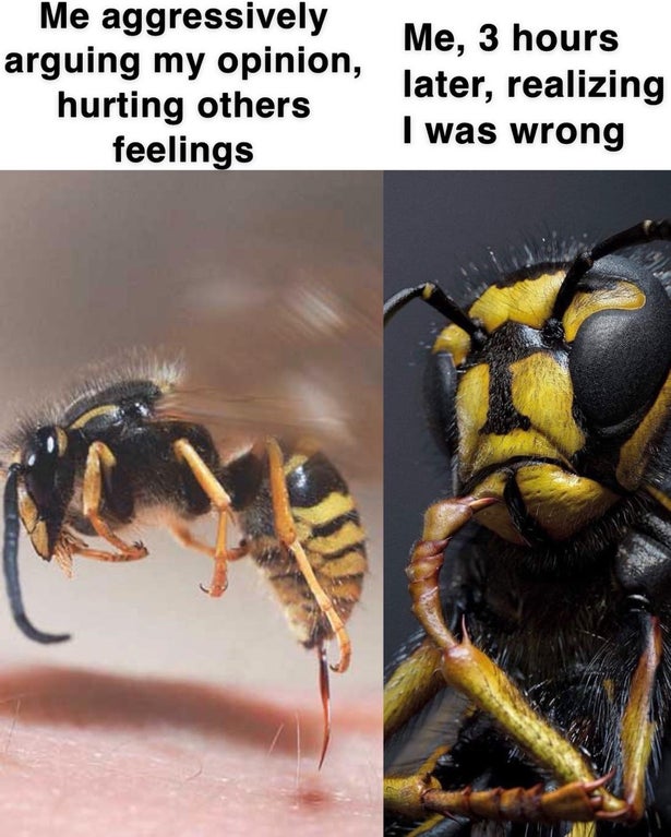 cgi insects - Me aggressively arguing my opinion, hurting others feelings Me, 3 hours later, realizing I was wrong