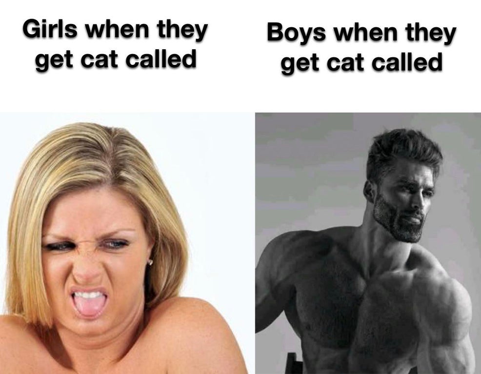 could you tell meme template - Girls when they get cat called Boys when they get cat called