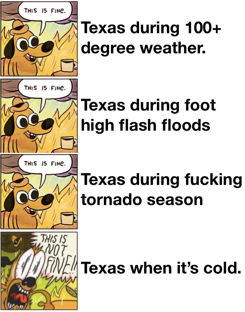 cartoon - This Is Fine. Texas during 100 degree weather. This Is Fine. Texas during foot high flash floods This Is Fine. Texas during fucking tornado season This Is Not. Fine! Texas when it's cold.