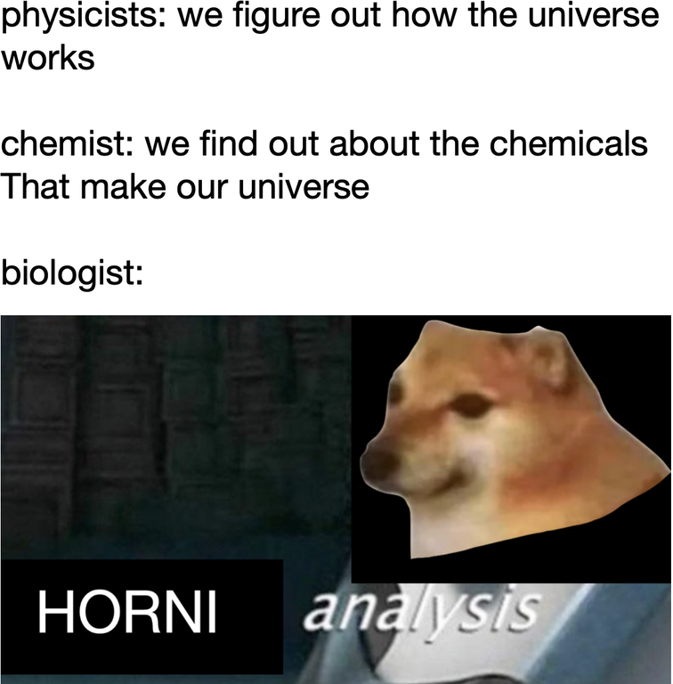 dank memes - photo caption - physicists we figure out how the universe works chemist we find out about the chemicals That make our universe biologist Horni andlysis
