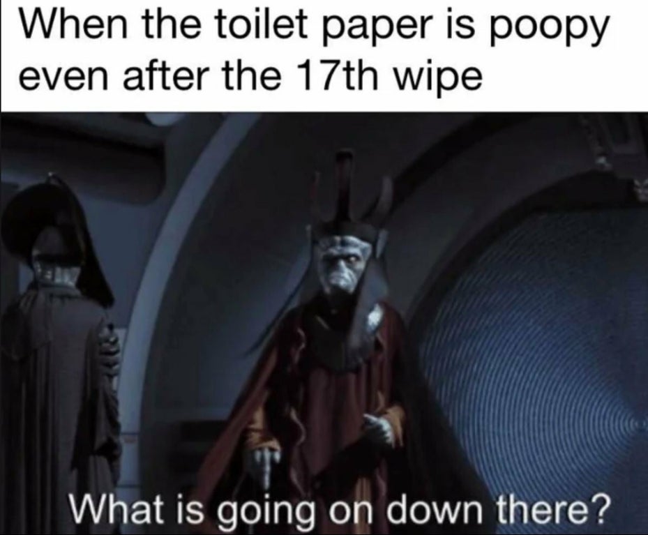 dank memes - what's going on down there meme - When the toilet paper is poopy even after the 17th wipe What is going on down there?