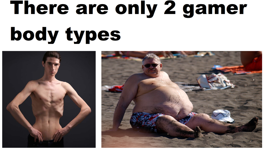 dank memes - barechestedness - There are only 2 gamer body types