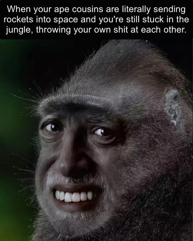 dank memes - photo caption - When your ape cousins are literally sending rockets into space and you're still stuck in the jungle, throwing your own shit at each other.