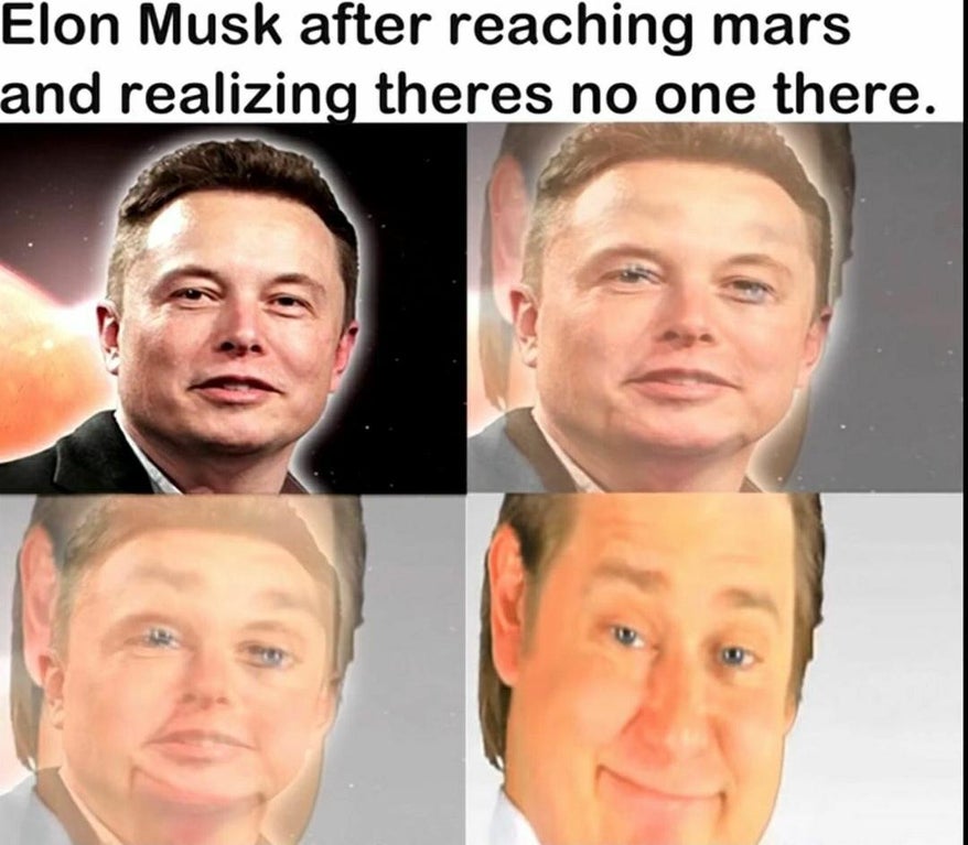 elon musk memes - Elon Musk after reaching mars and realizing theres no one there.
