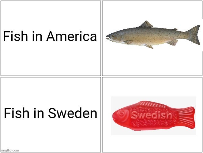 fish - Fish in America Fish in Sweden Swedish imgflip.com
