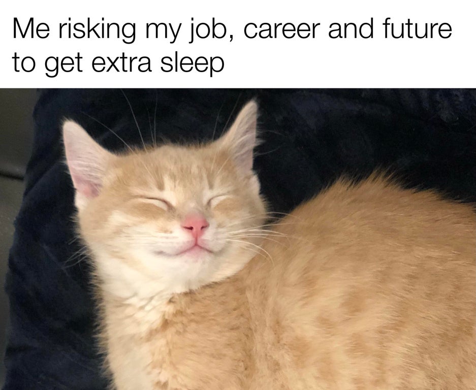 photo caption - Me risking my job, career and future to get extra sleep