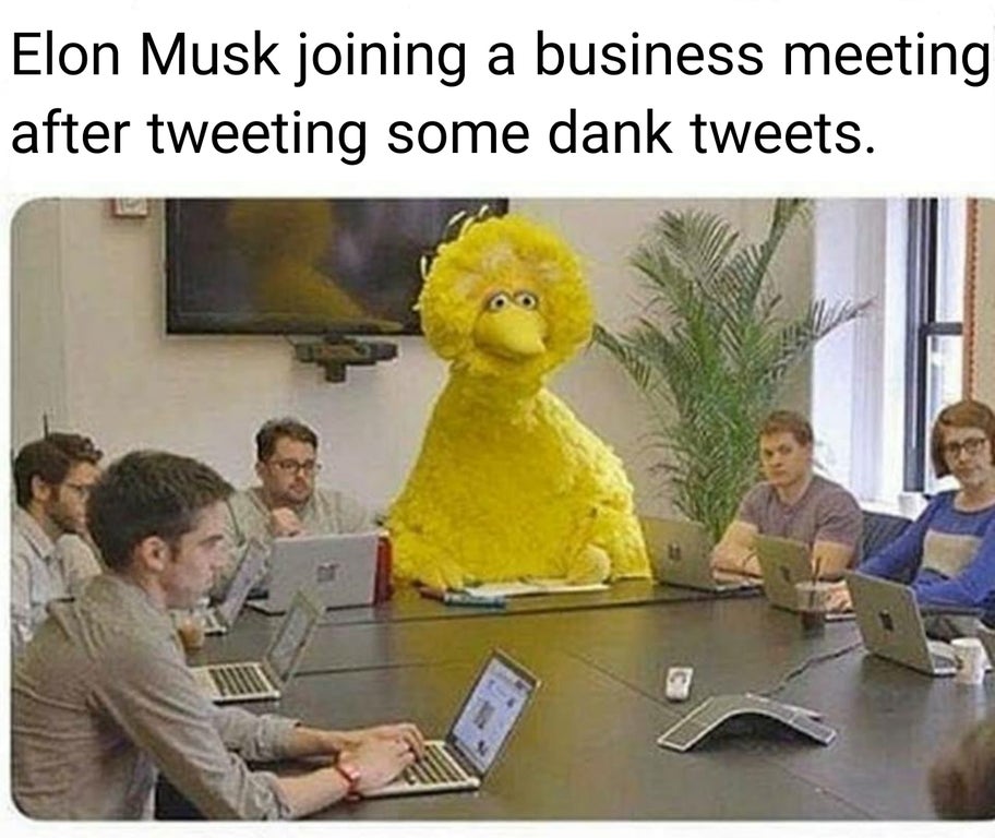gamestop fortune 500 - Elon Musk joining a business meeting after tweeting some dank tweets.