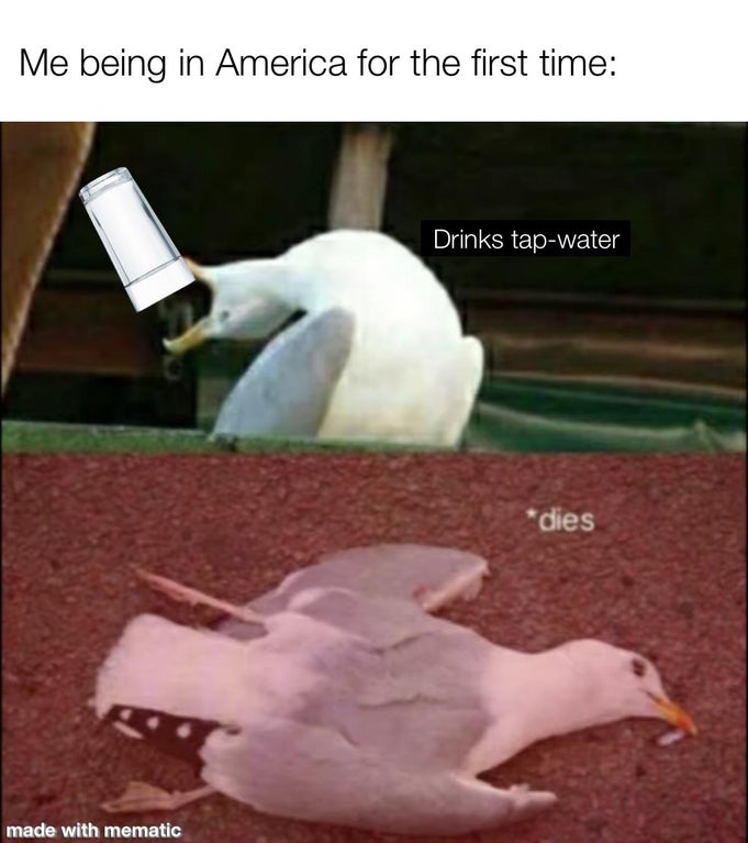 inhales dies - Me being in America for the first time Drinks tapwater dies made with mematic