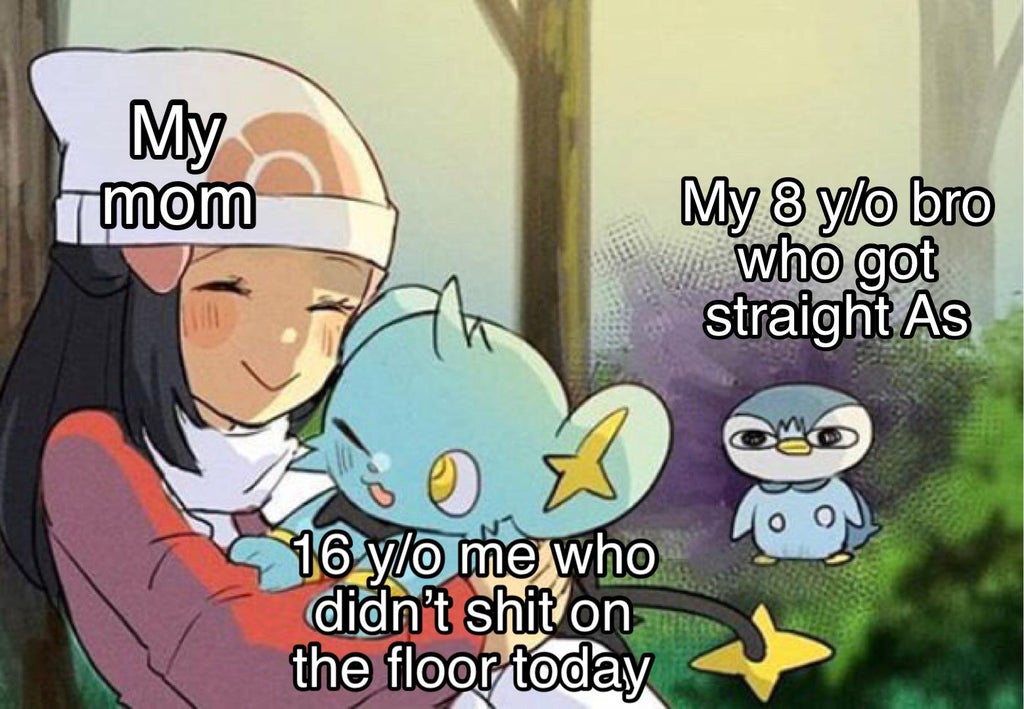 pokemon meme template - My mom My 8 ylo bro who got straight As Coes 16 ylo me who didn't shit on the floor today