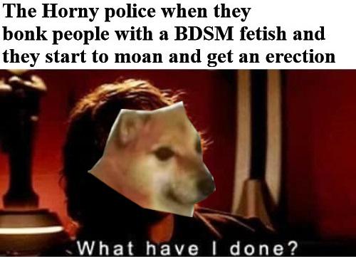 shouldn t have done that it's not - The Horny police when they bonk people with a Bdsm fetish and they start to moan and get an erection What have I done?