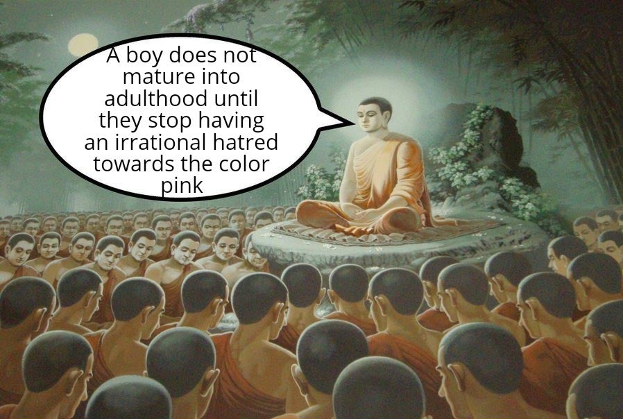 funny memes - A boy does not mature into adulthood until they stop having an irrational hatred towards the color pink