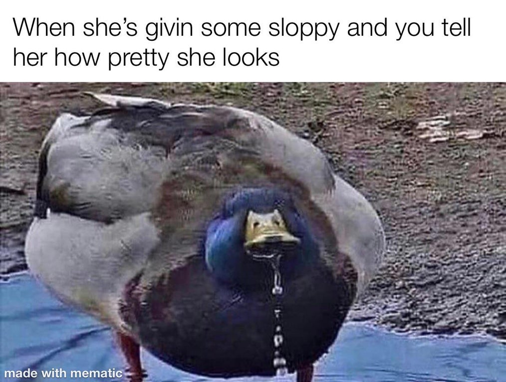 duck memes - When she's givin some sloppy and you tell her how pretty she looks made with mematic