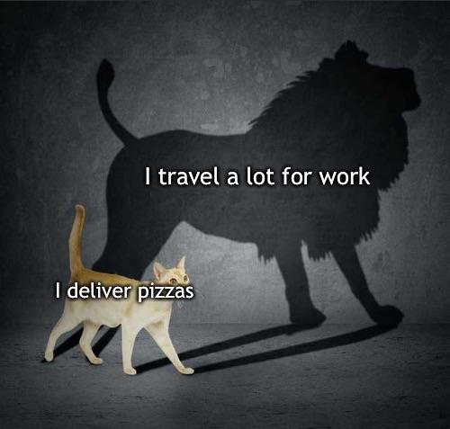 funny memes - cat shadow lion - I travel a lot for work I deliver pizzas