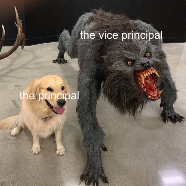 funny memes - dog vs werewolf meme template - the vice principal the principal