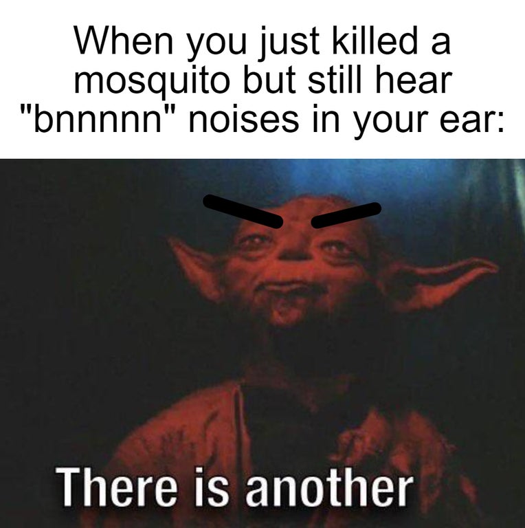 funny memes - When you just killed a mosquito but still hear bnnnn noises in your ear - yoda there is another